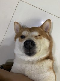 Yuga