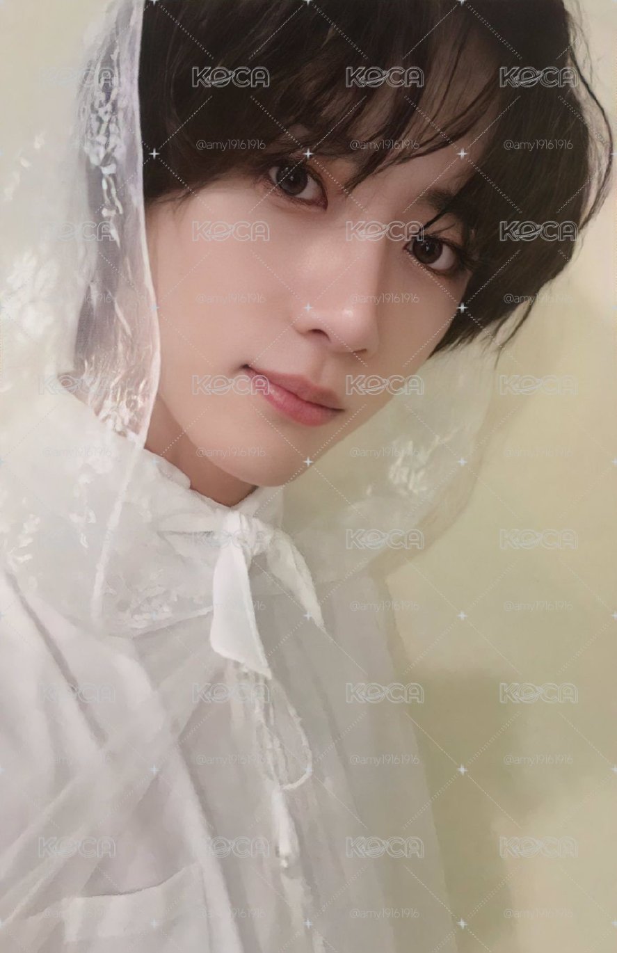 TXT 新娘圭