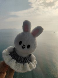 兔
