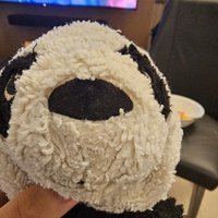 Panda(瀕臨破產版）