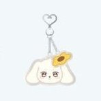 ANITEEZ IN ILLUSION 鑰匙圈吊飾 ACRYLIC KEYRING