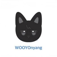 ANITEEZ IN ICE CITY 抱枕 PLUSH CUSHION