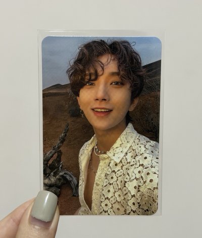 SVT 特典卡/專卡