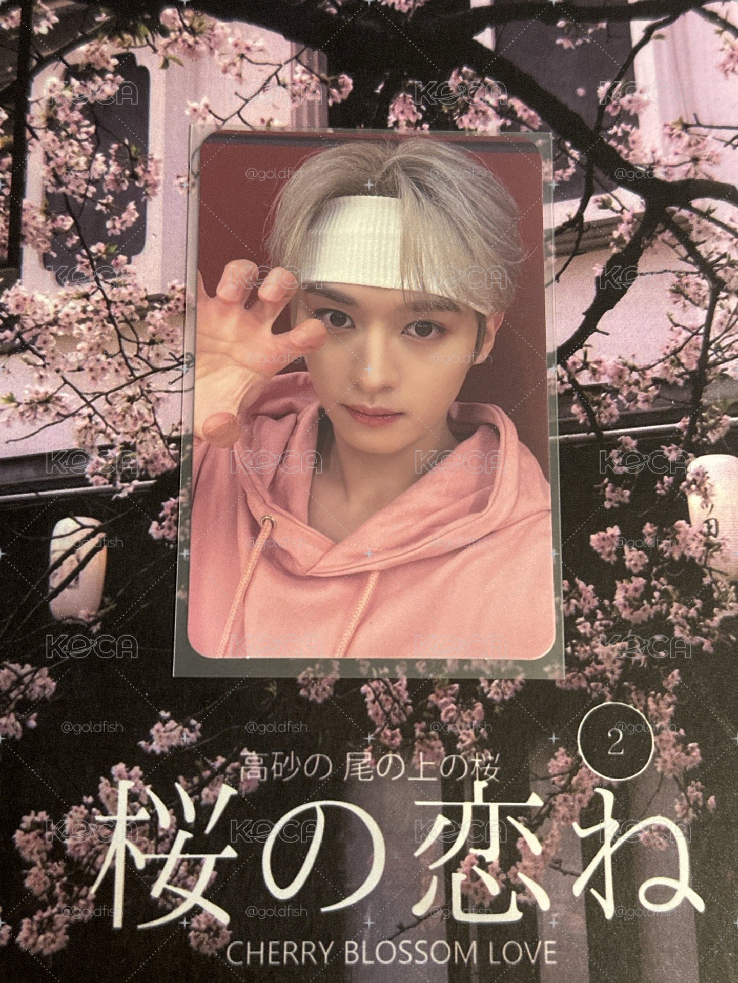 stray kids Lee Know 打歌卡
