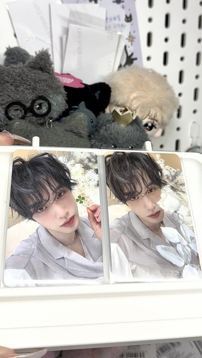 幸運草中背金地雄