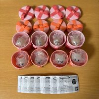 Jiniret、FoxyNy各一組