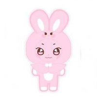 ANITEEZ IN ICE CITY 娃衣 PLUSH DOLL COVER (A ver.)