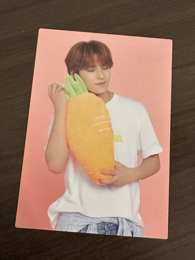 SEVENTEEN 金珉奎小卡