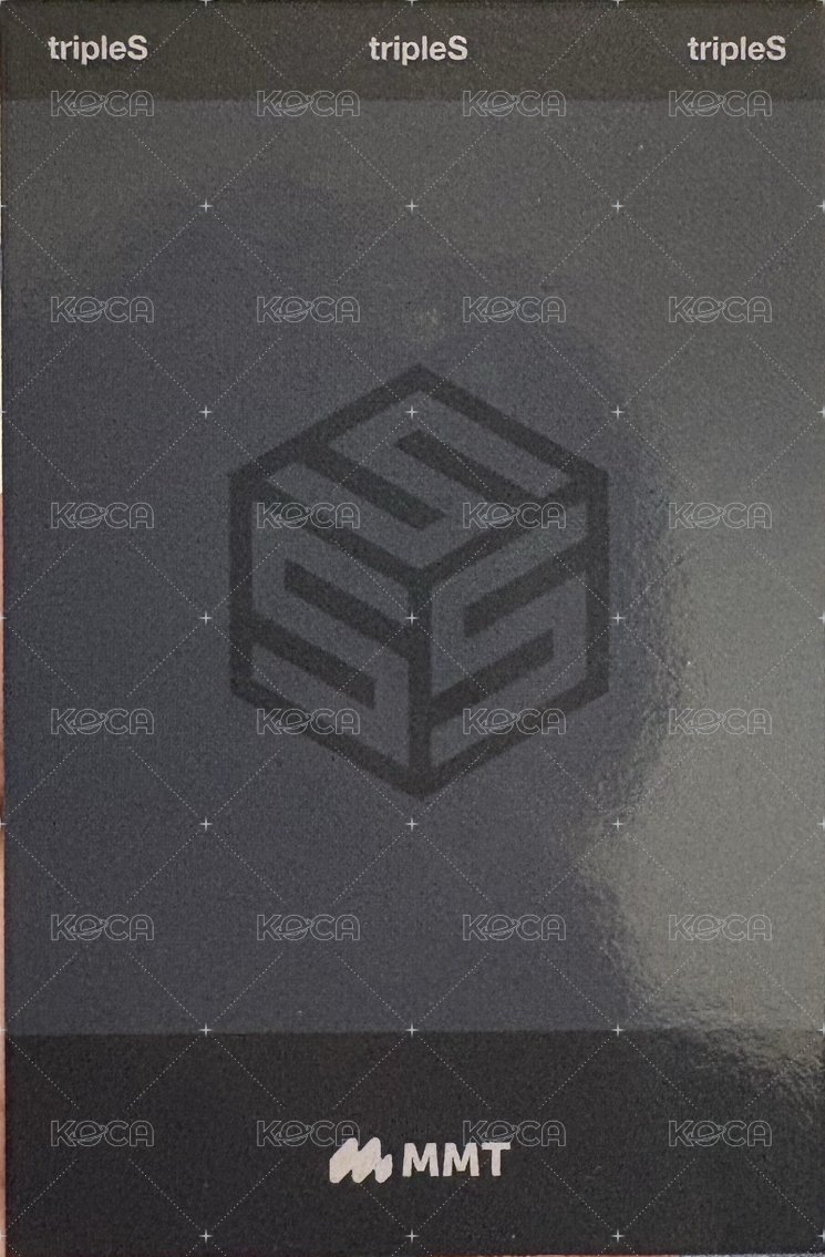 <ASSEMBLE24> mmt 簽售卡 恐龍 背面