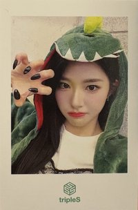 <ASSEMBLE24> mmt 簽售卡 恐龍