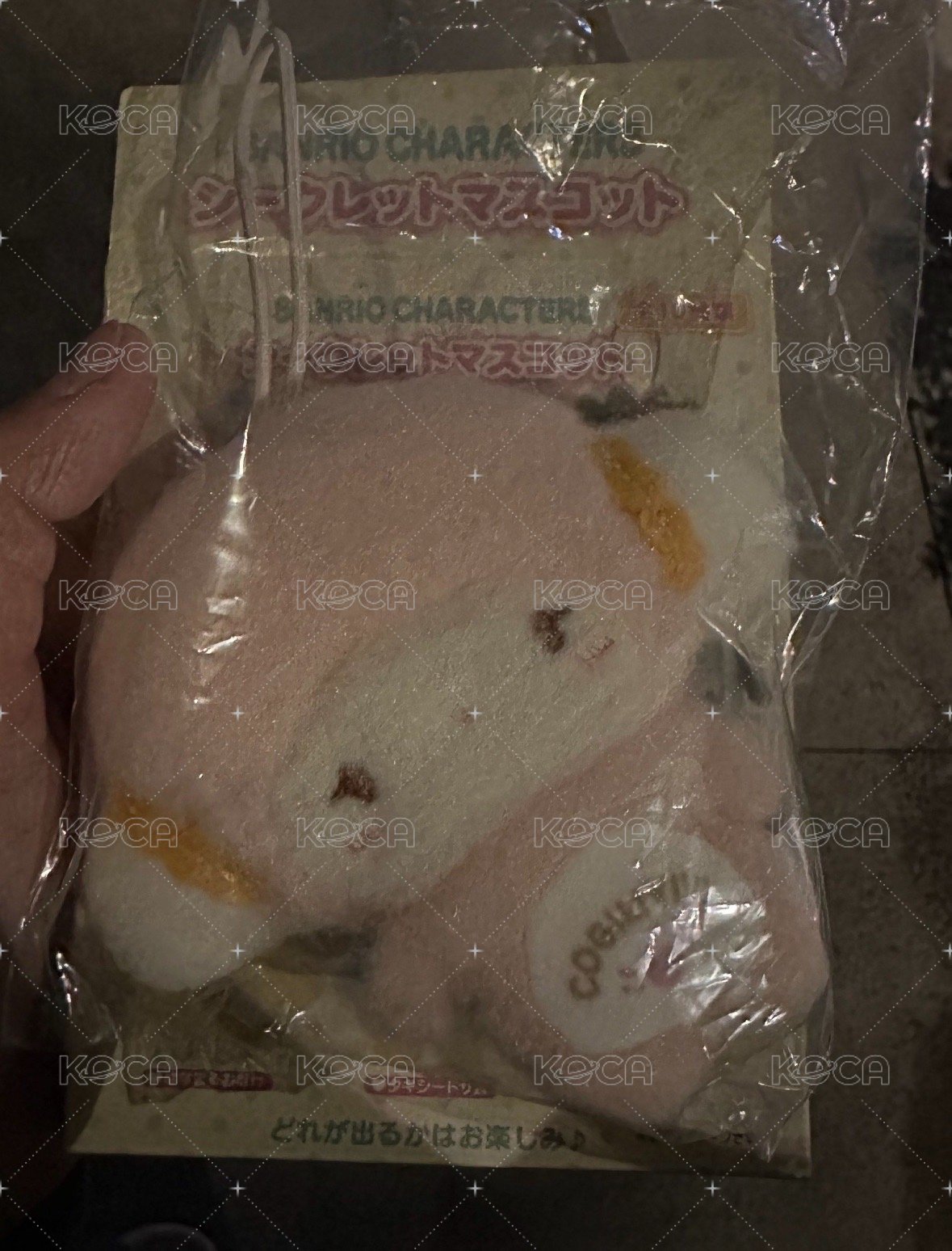 彼安諾