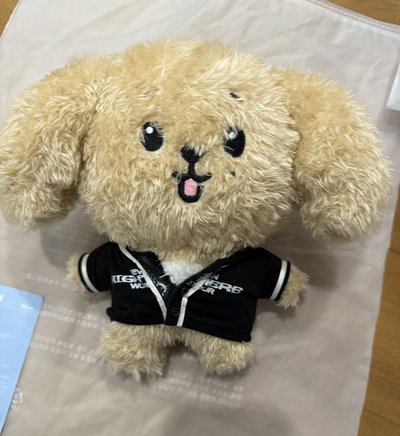 碩珉 站娃（含日巡娃衣