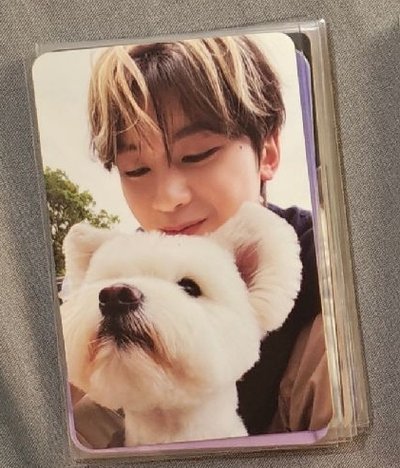 🍎ZB1-狗狗修+單封空專+團封空專+配置(海報/分組照/四格）