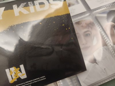 贈品🧧SKZ IN 生 明信片