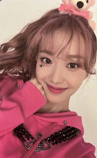 泰迪熊 單封 專輯卡 