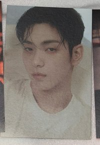 崔秀彬｜明信片白衣兔