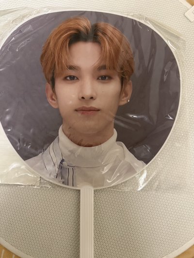 HARE DK VERNON日扇