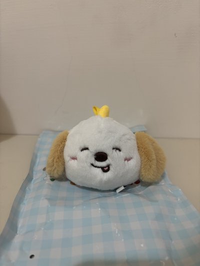 Riize 狗龍 深圳快閃娃 Anton 嘻嘻ver.