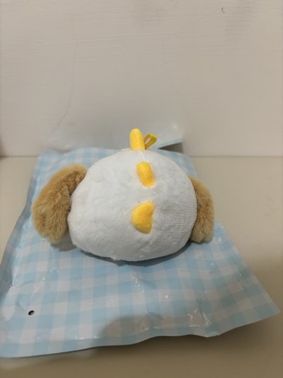 Riize 狗龍 深圳快閃娃 Anton 嘻嘻ver.