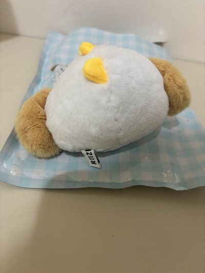 Riize 狗龍 深圳快閃娃 Anton 嘻嘻ver.