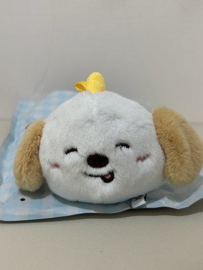 Riize 狗龍 深圳快閃娃 Anton 嘻嘻ver.