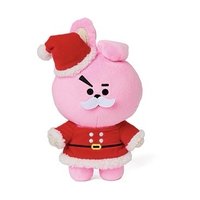 BT21 中娃 19冬季系列