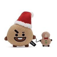 BT21 中娃 19冬季系列