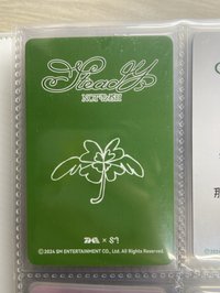 steady 星光卡 四星