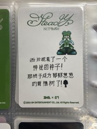 steady 星光卡 三星