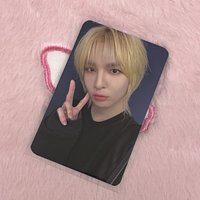 台灣入場卡 中背 뮤