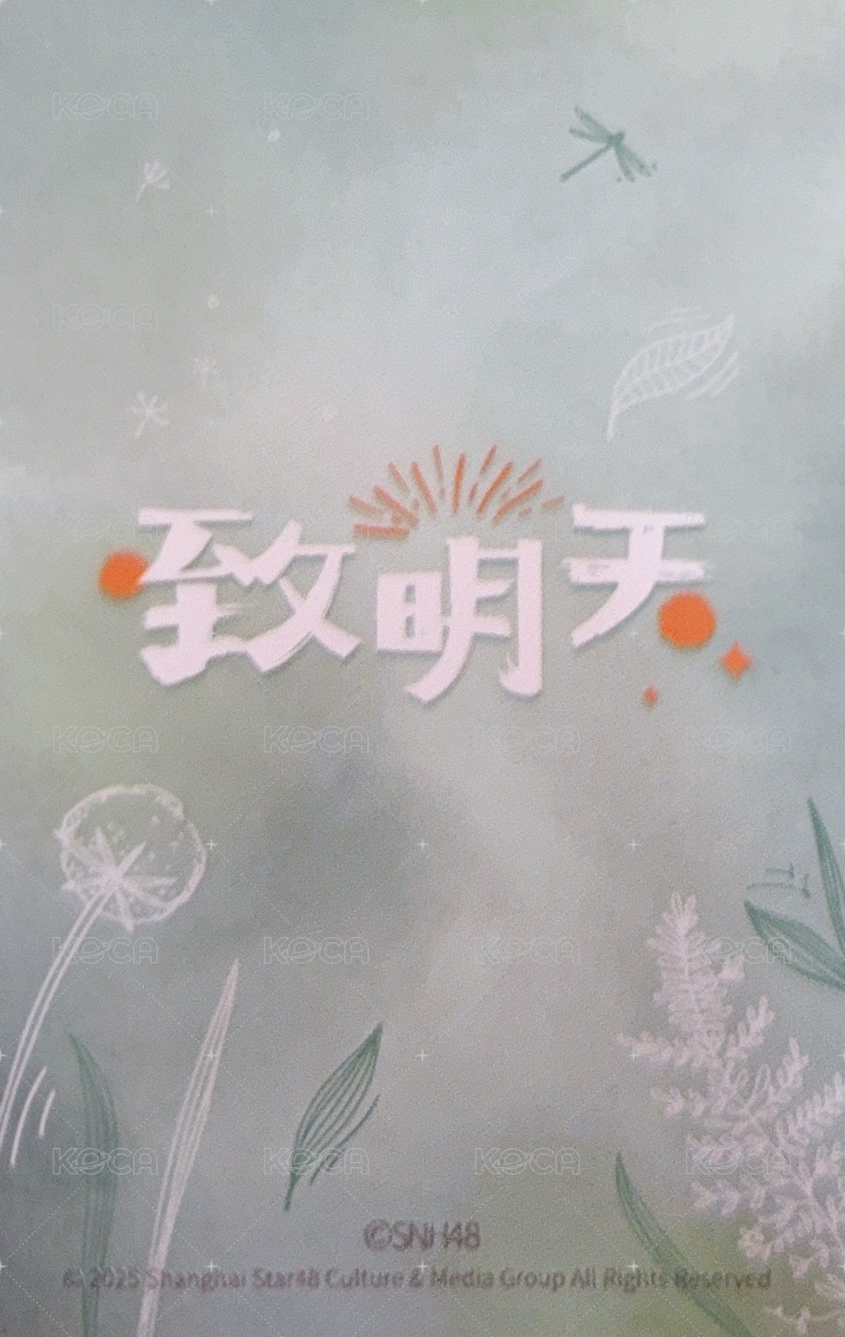 致明天 非選拔 隨機卡  背面