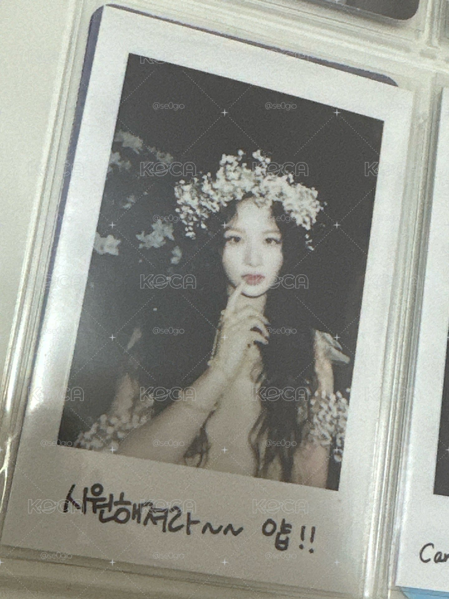 雪允ㅣ仲夏夜 專輯卡 普版 Forest 拍立得