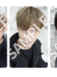 碩日通特典（對應青痕素戀）