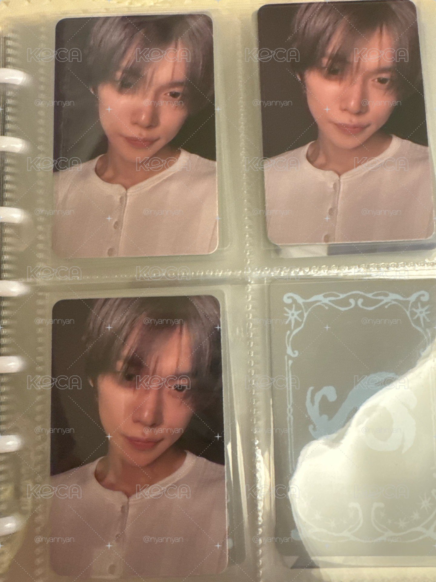 嘟嘴萌貓