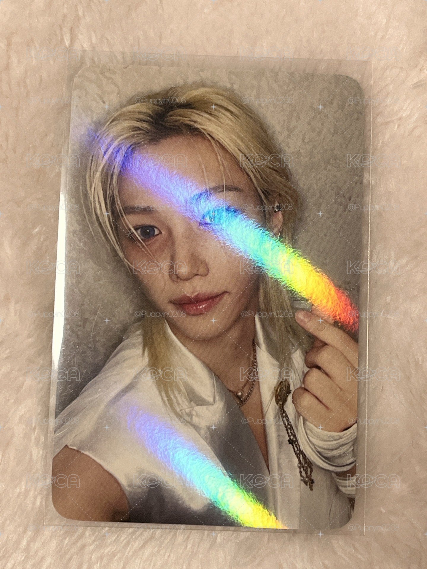 solo菲