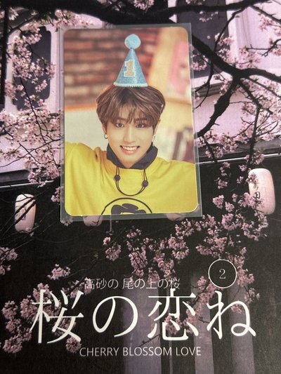 stray kids Han