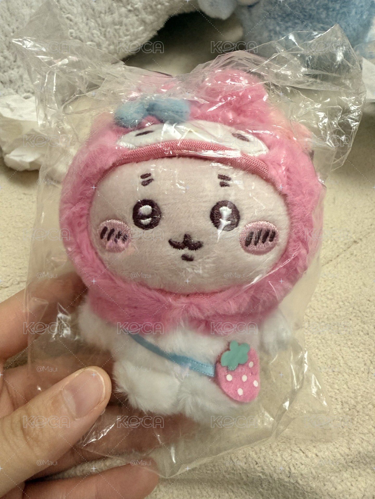 美樂蒂古本屋