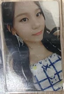 忙內