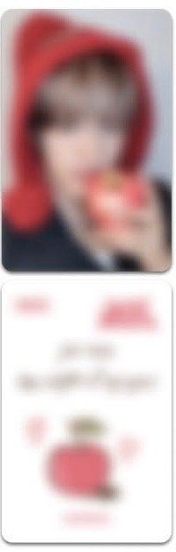 YUKI SEITA 迷你盤