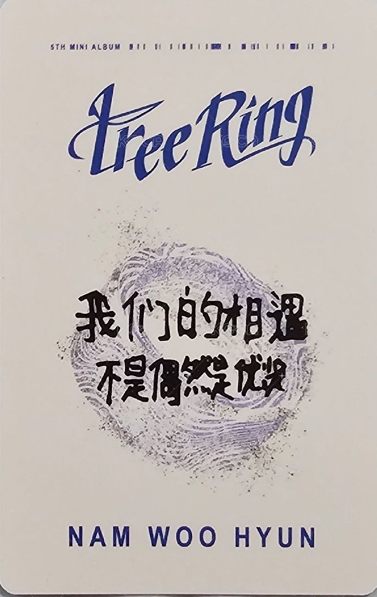 Tree Ring yzy 預購 特典卡  背面