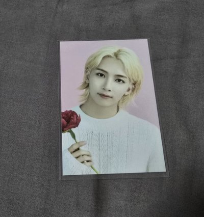 淨漢 小卡 特典