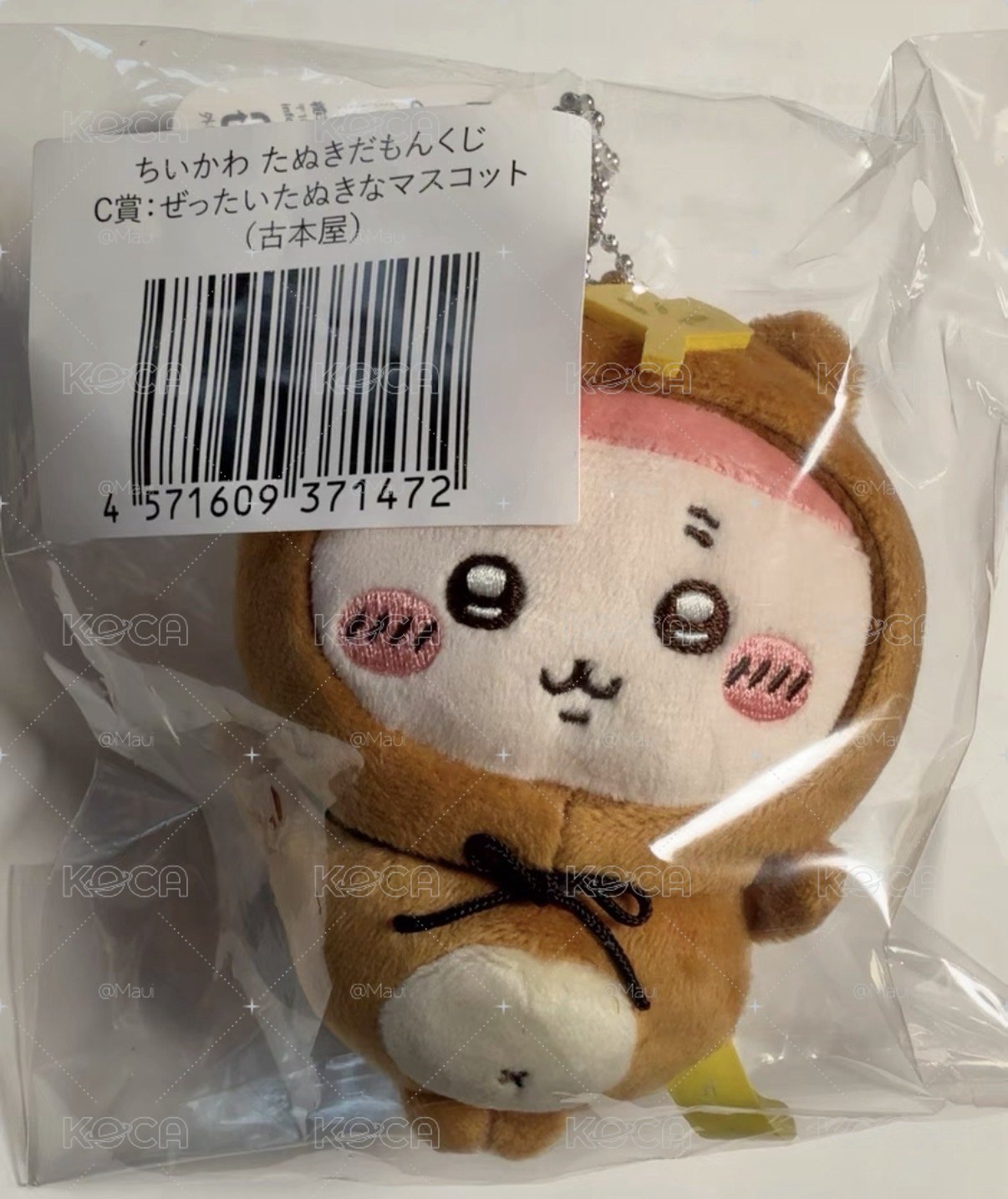古本屋 狸貓一番賞