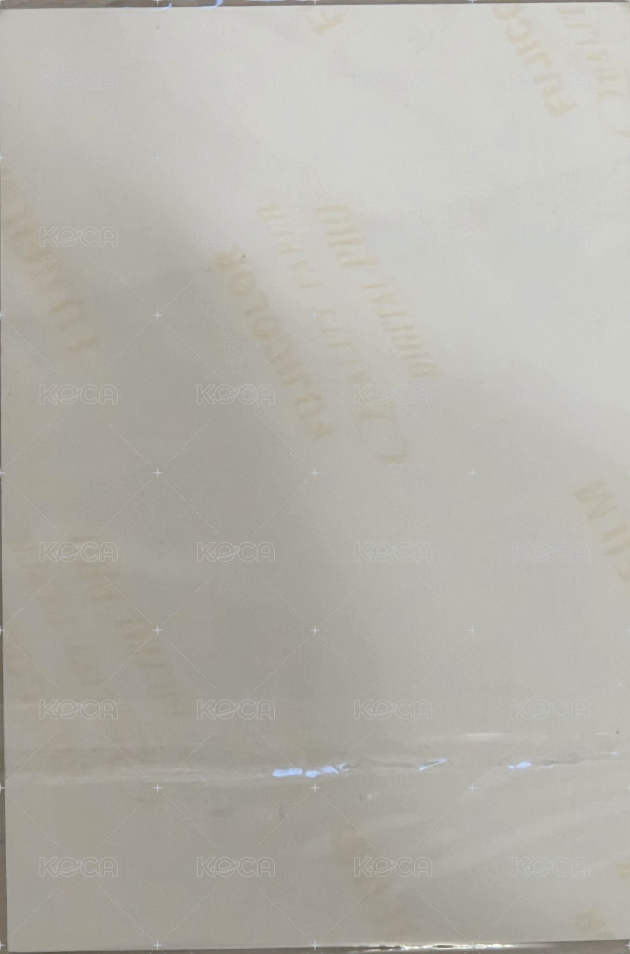 We are jjmuze 明信片 美少女jjm 中籤明信片 背面