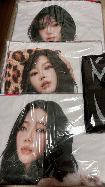 aespa 日巡 三巡 手幅 演唱會必備 週邊