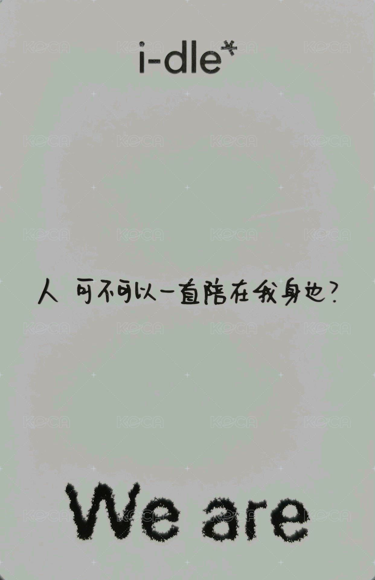 We are k4 預售 特典卡 A ver 貓掌 中背 背面