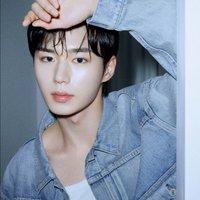 BRINGGREEN 明信片組 