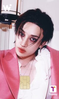 晶片位置安堆燦