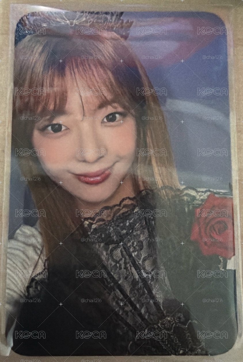 數星星黑玫瑰🌹