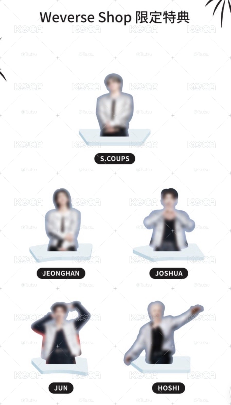 (現貨）follow 日巡 dvd hoshi 特典