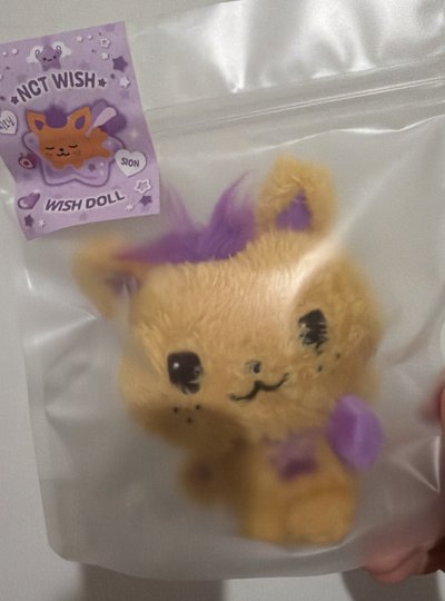 NCTWISH 原皮娃➕周邊盤